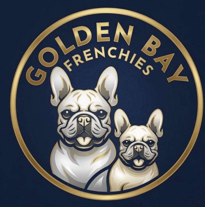 goldenbayfrenchies